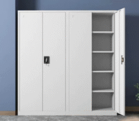 professional appearance 2 long door cabinet, sleek office storage cabinet, modern 2-door cabinet, executive office cabinet, tall storage cabinet, wooden office cabinet, metal office cabinet, durable 2-door storage, stylish office furniture, functional storage cabinet, contemporary office cabinet, spacious 2-door cabinet, professional office storage, modern filing cabinet, office cupboard with doors, organizational cabinet, elegant office storage, multipurpose 2-door cabinet, secure storage cabinet, cabinet for office documents, practical office furniture, two-door storage unit, office storage solution, compact professional cabinet, office shelving cabinet, modern workplace cabinet, tidy office storage, office cabinet with lock, professional filing cabinet, versatile storage cabinet, office cupboard unit, contemporary storage solution, sleek workplace cabinet, executive storage solution, modern office cupboard, functional office storage unit, tall professional cabinet, minimalist office cabinet, organized workspace cabinet, 2-door office cupboard, professional furniture piece, cabinet for files and supplies, modern office organizer, durable workplace cabinet, office storage with style, practical 2-door cabinet, professional cabinet for office, efficient storage solution, polished office furniture.